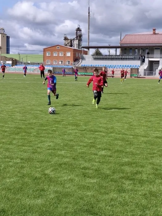 share-photo-11459315963